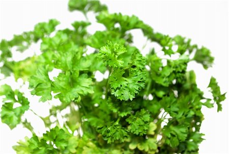 simsearch:400-05919877,k - Top of parsley isolated on white background Stock Photo - Budget Royalty-Free & Subscription, Code: 400-04459078