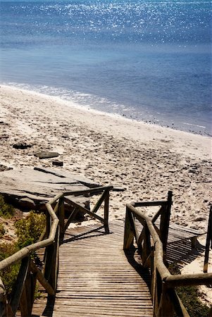 simsearch:400-08223992,k - Wooden path leading down to the beach. Clear blue ocean in the backgroud Stock Photo - Budget Royalty-Free & Subscription, Code: 400-04459349
