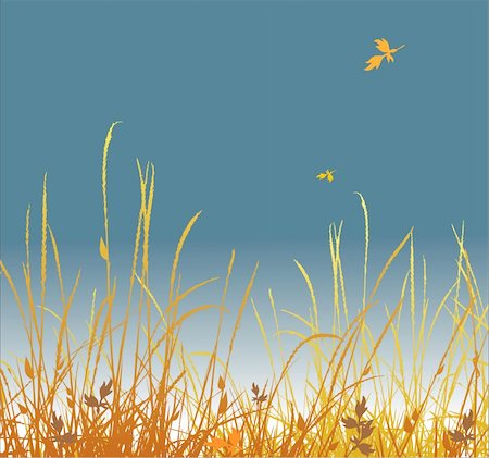 simsearch:400-04595369,k - Autumn background. A grass and falling foliage. Vector Stockbilder - Microstock & Abonnement, Bildnummer: 400-04450488