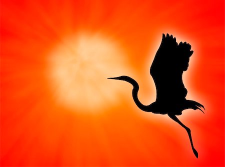 simsearch:400-03936590,k - Bird silhouette flight against a red sunset Photographie de stock - Aubaine LD & Abonnement, Code: 400-04450534