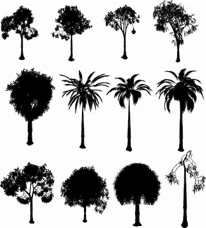 Collection of silhouette trees over a white background Foto de stock - Super Valor sin royalties y Suscripción, Código: 400-04451453