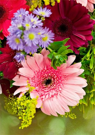 simsearch:400-07682458,k - Colorful bunch of various flowers, nature series Stock Photo - Budget Royalty-Free & Subscription, Code: 400-04451777