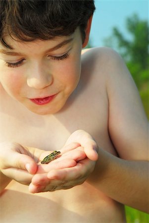 Young boy holding a tiny green frog in his hands Stock Photo - Budget Royalty-Free & Subscription, Code: 400-04453075
