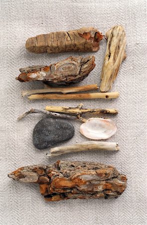 polishing wood - Arrangement of beach treasures - twigs, seashells, pebbles - collected on sea shore Stock Photo - Budget Royalty-Free & Subscription, Code: 400-04453073