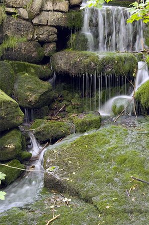 a little stream in the mountain forest Fotografie stock - Microstock e Abbonamento, Codice: 400-04453299