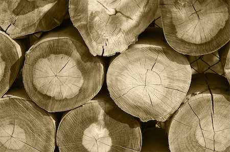 simsearch:700-00081166,k - pile of wood background Fotografie stock - Microstock e Abbonamento, Codice: 400-04464180