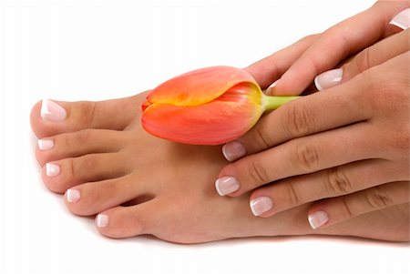 smelling feet - Pedicured foot and manicured hand with an elegant tulip Stock Photo - Budget Royalty-Free & Subscription, Code: 400-04465107