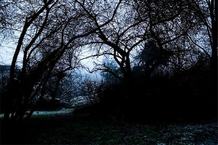 simsearch:400-07510434,k - A spooky path overshadowed bya group of dead trees in thick fog. Stock Photo - Budget Royalty-Free & Subscription, Code: 400-04466557