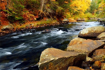 simsearch:400-04452321,k - Forest river in the fall. Algonquin provincial park, Canada. Foto de stock - Royalty-Free Super Valor e Assinatura, Número: 400-04466889
