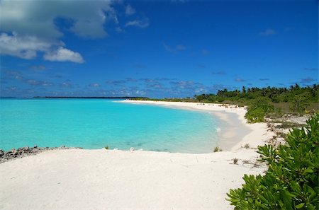 simsearch:400-03928487,k - tropical coastline with white sandy beach, coconut palm trees and beautiful turquoise ocean Foto de stock - Royalty-Free Super Valor e Assinatura, Número: 400-04467093