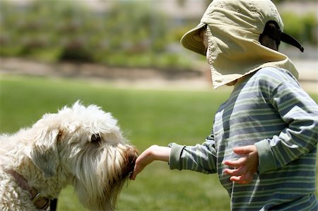 Boy feeding his dog in a park Stock Photo - Budget Royalty-Free & Subscription, Code: 400-04467217