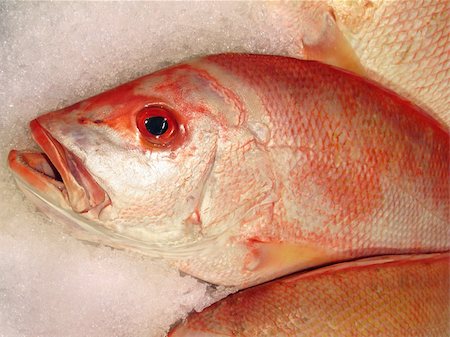 close up photo of red snapper on ice at the market Photographie de stock - Aubaine LD & Abonnement, Code: 400-04467352