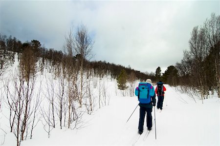 simsearch:400-04470085,k - Skiing no a winter landscape Stockbilder - Microstock & Abonnement, Bildnummer: 400-04467439