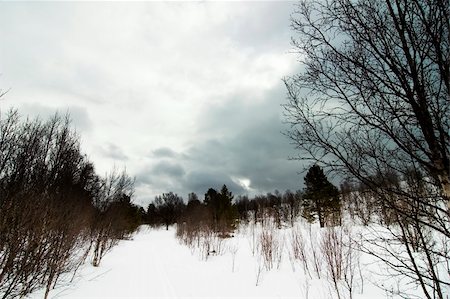 simsearch:400-04520291,k - A spooky contrast filled winter landscape Stockbilder - Microstock & Abonnement, Bildnummer: 400-04467440