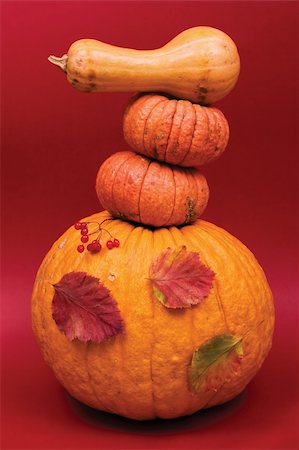 simsearch:400-03939805,k - Autumn harvest - good design for thanksgiving greeting cards Foto de stock - Super Valor sin royalties y Suscripción, Código: 400-04467906