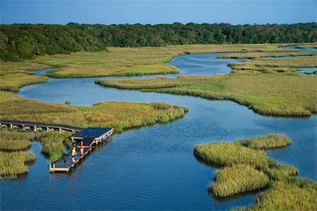 swamp aerial - Aerial view of two teenage boys fishing from dock in marshy lowlands of Bald Head Island, North Carolina. Stock Photo - Budget Royalty-Free & Subscription, Code: 400-04468742