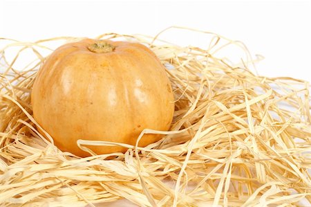 simsearch:400-04008520,k - A orange pumpkin, on straw background. Shallow DOF Stock Photo - Budget Royalty-Free & Subscription, Code: 400-04469781