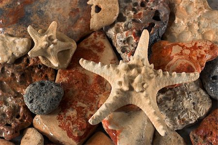 simsearch:400-03912387,k - Starfish over the rock background Stock Photo - Budget Royalty-Free & Subscription, Code: 400-04460239