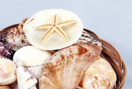 simsearch:400-04106913,k - Close-up of a basket of shells with starfish. Stock Photo - Budget Royalty-Free & Subscription, Code: 400-04460243