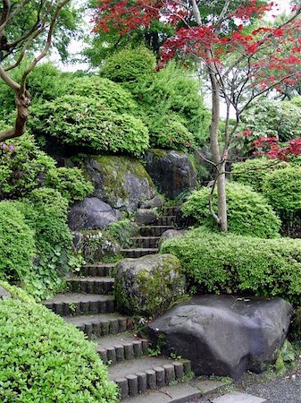 Japanese garden with stairs and red maple tree Photographie de stock - Aubaine LD & Abonnement, Code: 400-04460491