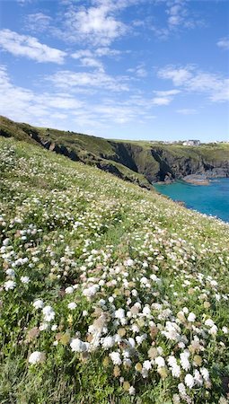 simsearch:400-03933465,k - the lizard point the southernmost tip of land in england cornwall uk Stock Photo - Budget Royalty-Free & Subscription, Code: 400-04460752