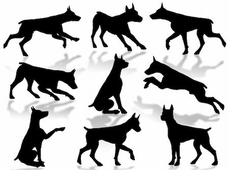 Dogs silhouette in different poses and attitudes Stock Photo - Budget Royalty-Free & Subscription, Code: 400-04460931