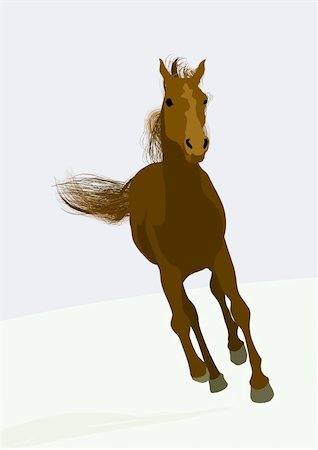 simsearch:400-04323874,k - beautifull race-horse Foto de stock - Royalty-Free Super Valor e Assinatura, Número: 400-04461177