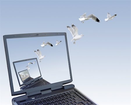 Computer generated image made by me using my own photographs. Seagulls flying out of the laptop. Stock Photo - Budget Royalty-Free & Subscription, Code: 400-04461214