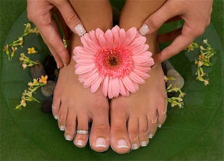 foot daisy - Spa treatment with elegant pink gerbera Stock Photo - Budget Royalty-Free & Subscription, Code: 400-04461294