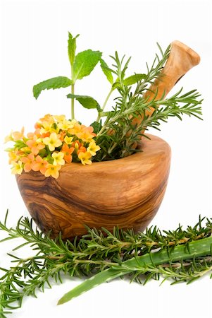 simsearch:400-04544414,k - Healthy aromatic herbs in a spa (mint, rosemary, aloe vera in a carved olive tree mortar and pestle Stock Photo - Budget Royalty-Free & Subscription, Code: 400-04461295