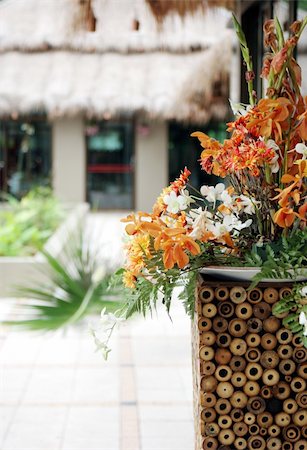 simsearch:400-04941060,k - Orange tropical flowers in a vase. Fotografie stock - Microstock e Abbonamento, Codice: 400-04461314