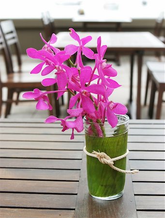 simsearch:400-04941060,k - Pink tropical flowers in a vase. Fotografie stock - Microstock e Abbonamento, Codice: 400-04461313