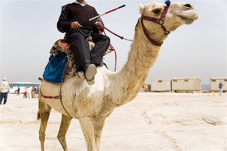 simsearch:400-06063122,k - Egypt Police riding Camel Foto de stock - Super Valor sin royalties y Suscripción, Código: 400-04462479