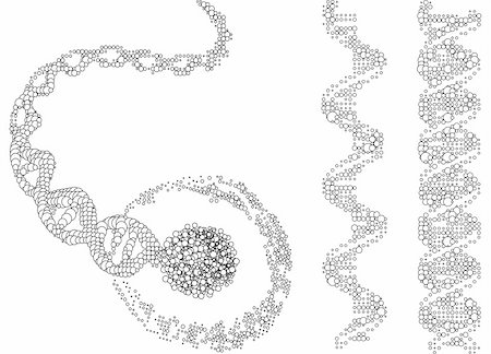 simsearch:400-04012409,k - abstract DNA chains, vector illustration Photographie de stock - Aubaine LD & Abonnement, Code: 400-04462798