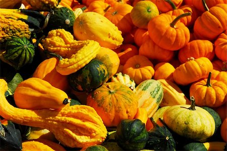 simsearch:400-07089027,k - Ornamental pumpkins on farmers market in the fall Stock Photo - Budget Royalty-Free & Subscription, Code: 400-04463081