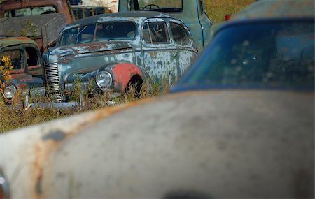 Group of rusted, vintage automobiles in a grassy lot. Stock Photo - Budget Royalty-Free & Subscription, Code: 400-04463758