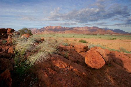 simsearch:400-04470445,k - Desert landscape at sunrise, Brandberg mountain, Namibia Stockbilder - Microstock & Abonnement, Bildnummer: 400-04474142