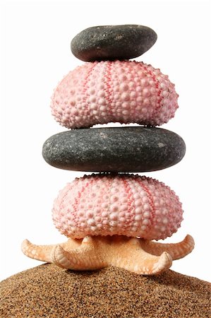 simsearch:400-07772579,k - Pebbles, seaurchins and starfish in a stack with sand and white background Fotografie stock - Microstock e Abbonamento, Codice: 400-04474520