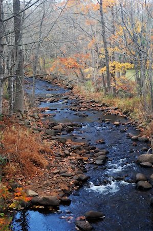 Flowing river in autumn, Nova Scotia, Canada Stock Photo - Budget Royalty-Free & Subscription, Code: 400-04474768