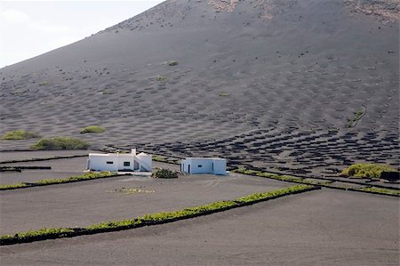 simsearch:400-03944131,k - Vignoble typique de La Geria, Lanzarote, îles Canaries, Espagne Photographie de stock - Aubaine LD & Abonnement, Code: 400-04475267