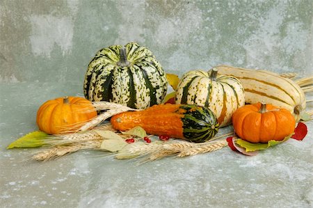 Harvest produce on a neutral background Foto de stock - Royalty-Free Super Valor e Assinatura, Número: 400-04475306