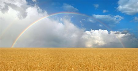 stormy weather rainbow - Rainbow over wheatfield Stock Photo - Budget Royalty-Free & Subscription, Code: 400-04475303