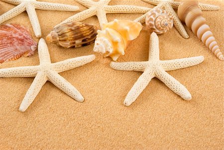 simsearch:400-03912387,k - Starfish and seashells on golden sand Stock Photo - Budget Royalty-Free & Subscription, Code: 400-04475463