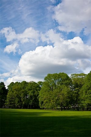 Summer park. White clouds over the trees. Photographie de stock - Aubaine LD & Abonnement, Code: 400-04475955