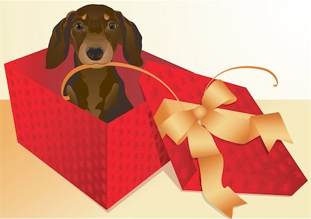 simsearch:400-07628560,k - Vector illustration representing the puppy of the dachshund in a gift box Foto de stock - Super Valor sin royalties y Suscripción, Código: 400-04477150