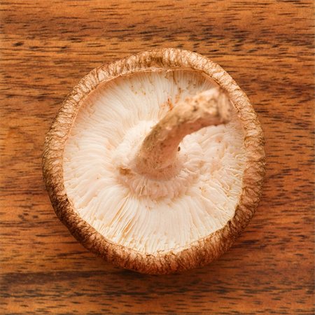 Overview of underside of whole mushroom. Foto de stock - Royalty-Free Super Valor e Assinatura, Número: 400-04477841