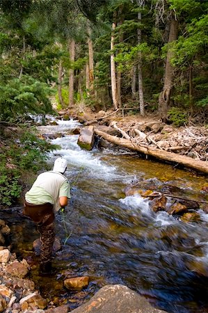 Fisherman in River fly fishing in the Canyons Stock Photo - Budget Royalty-Free & Subscription, Code: 400-04478092