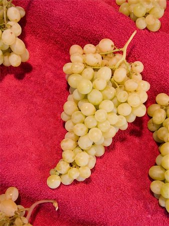 simsearch:400-04478608,k - Ripe vine cluster with amber juicy berries harvest 2007 Stock Photo - Budget Royalty-Free & Subscription, Code: 400-04478608