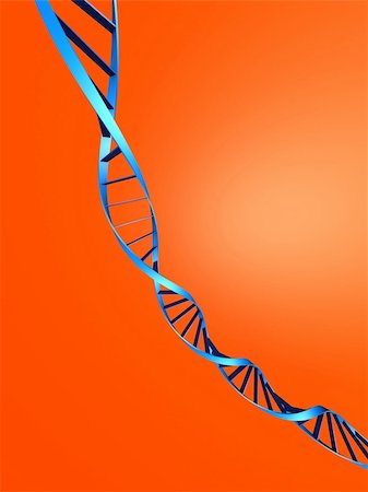 simsearch:400-04799043,k - 3d rendered illustration of a double helix Photographie de stock - Aubaine LD & Abonnement, Code: 400-04479220