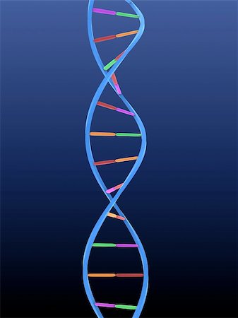 simsearch:400-04799043,k - 3d rendered illustration of a double helix Photographie de stock - Aubaine LD & Abonnement, Code: 400-04479221